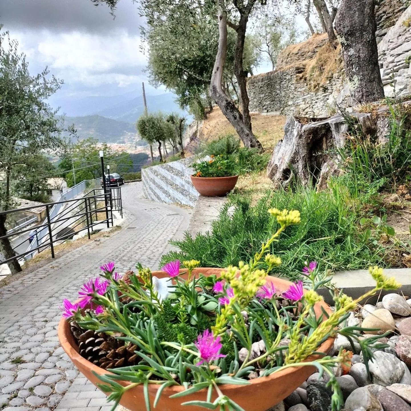فندق Ca' Da Tollo Cogorno المظهر الخارجي الصورة