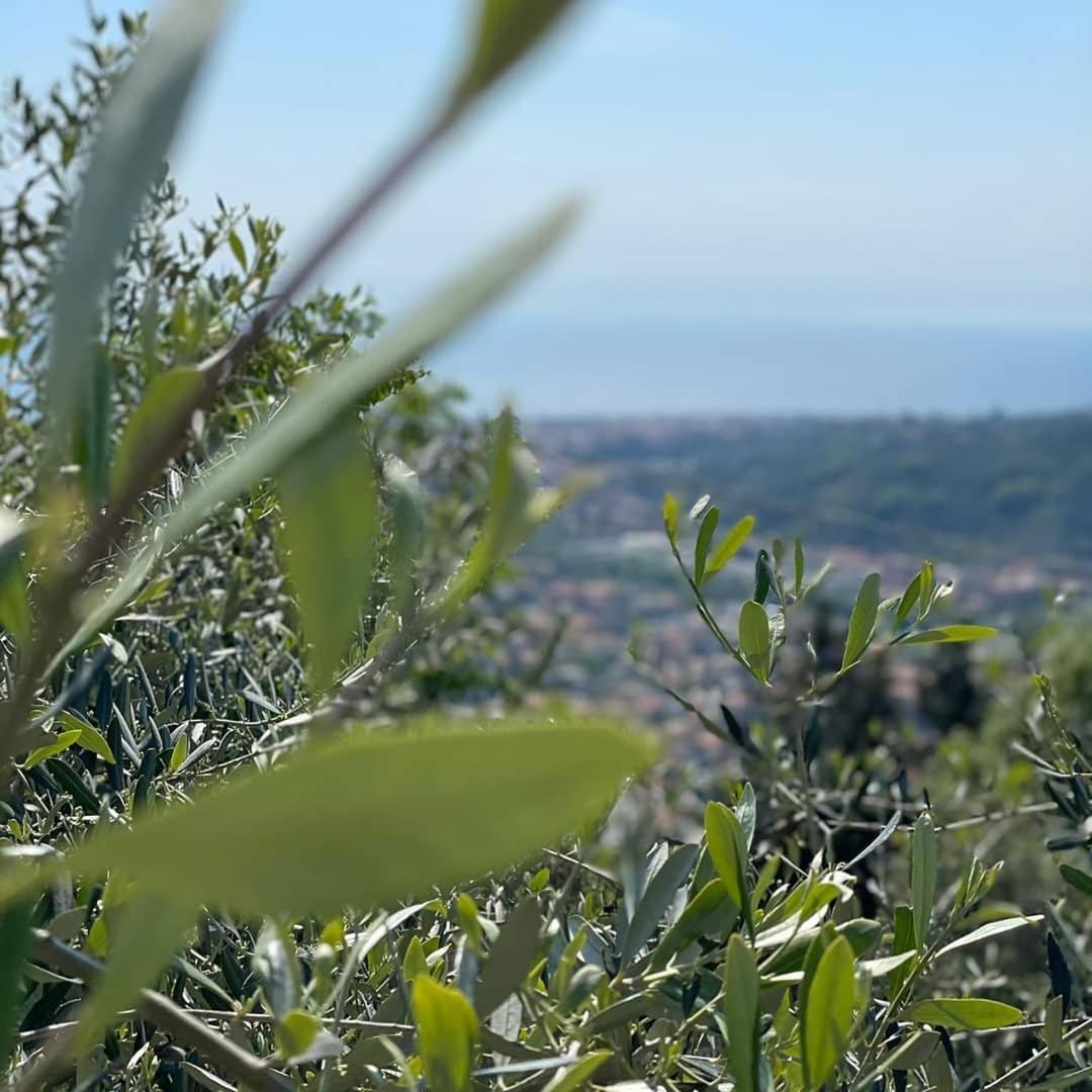 فندق Ca' Da Tollo Cogorno المظهر الخارجي الصورة